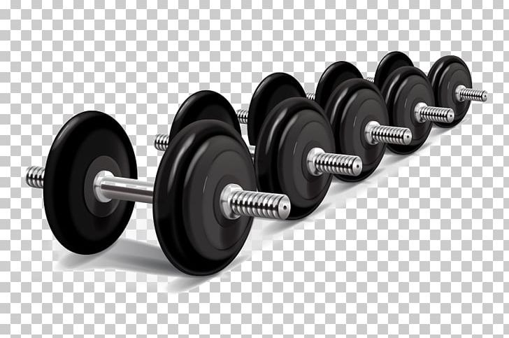 Weight Training Physical Exercise Weight Machine Olympic Weightlifting PNG, Clipart, Barbell, Bench, Bodybuilding, Decorative Elements, Exercise Equipment Free PNG Download