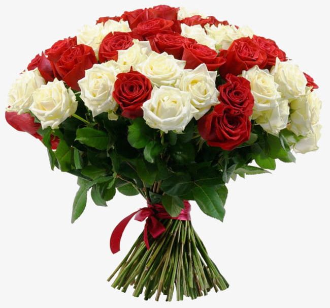 White Rose And Red Rose Bouquet PNG, Clipart, Bouquet, Bouquet Clipart, Bouquets, Decorative, Decorative Bouquets Free PNG Download
