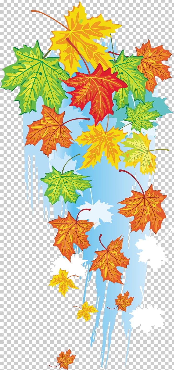 Autumn Maple Leaf Vegetativ Organlar PNG, Clipart, Abscission, Art, Autumn, Autumn Leaves, Branch Free PNG Download