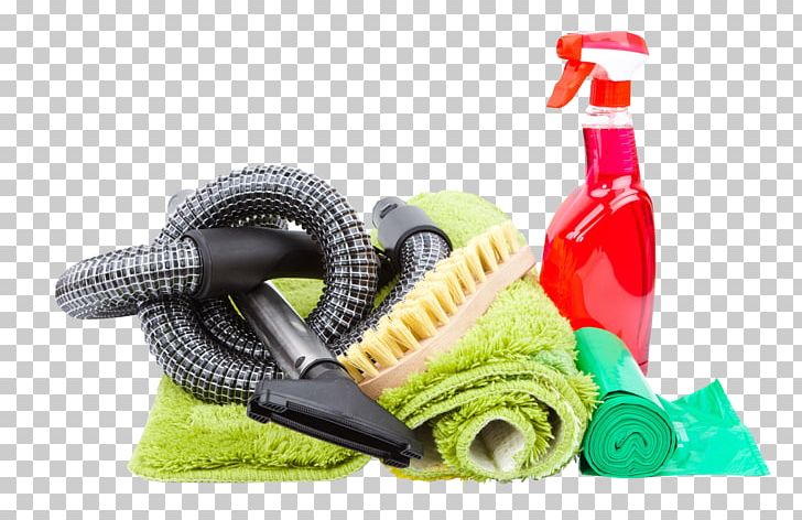 Cleaning Cleaner Maid Service PNG, Clipart, Animal, Cleaner, Cleaning, Horseshoe Crab, Maid Service Free PNG Download