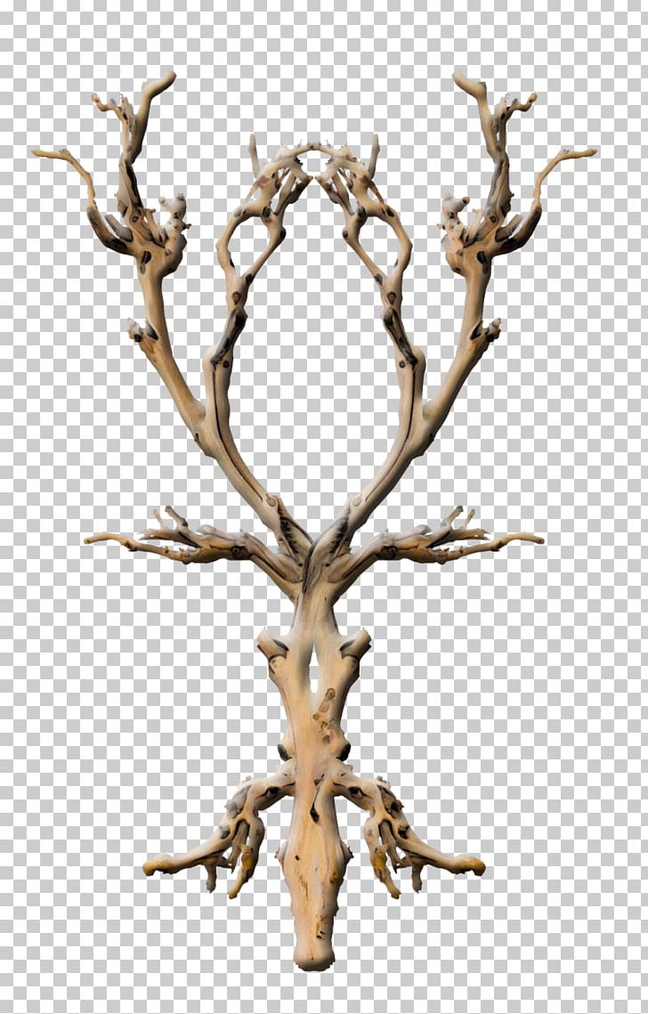 Twig Branch Tree Snag Plant PNG, Clipart, Antler, Arbre Mort, Branch, Death, Desktop Wallpaper Free PNG Download