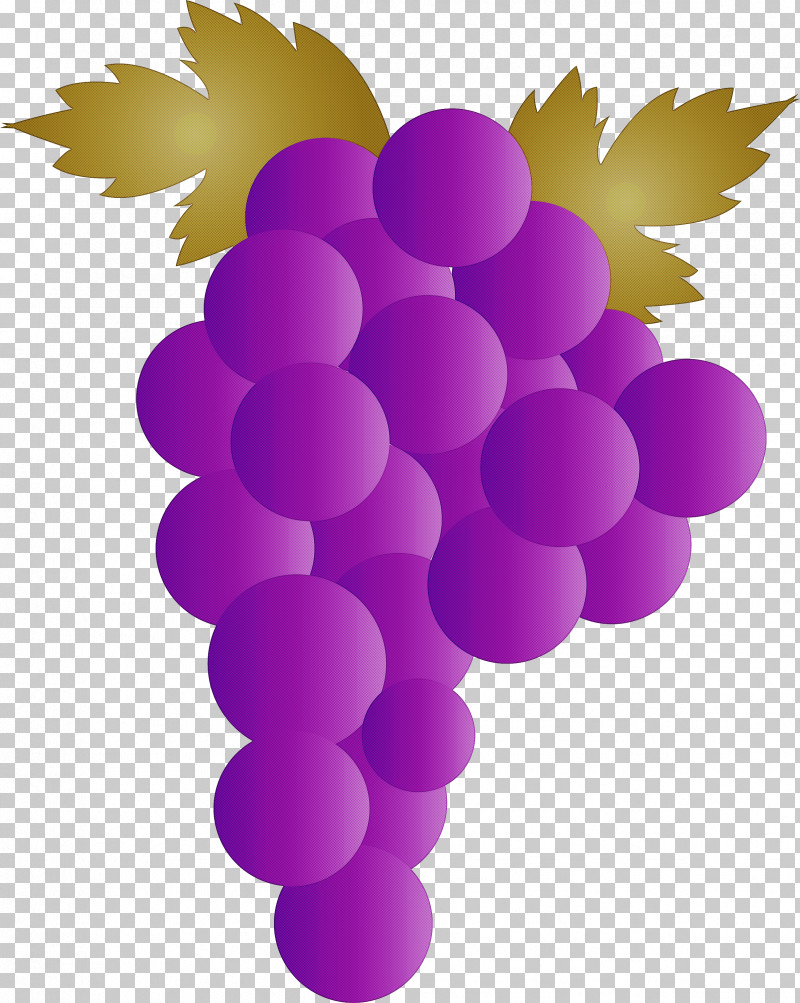 Grape Wine Zante Currant Juice Grape Leaves PNG, Clipart, Blackcurrant, Fruit, Fruit Wine, Grape, Grapefruit Free PNG Download