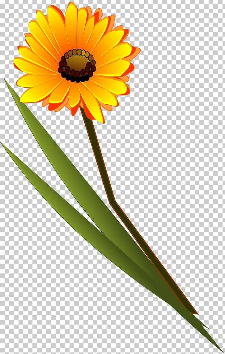 Flower Lds PNG, Clipart, Cut Flowers, Daisy, Daisy Family, Desktop Wallpaper, Download Free PNG Download