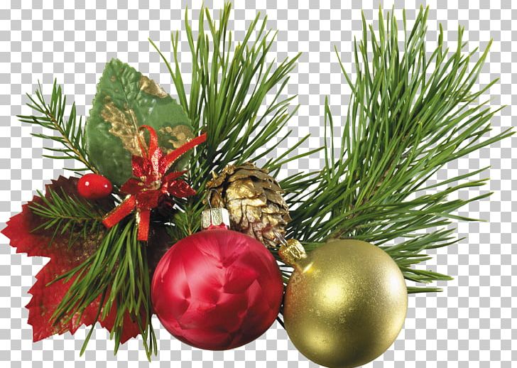 Santa Claus Christmas Ornament New Year's Day PNG, Clipart, Christmas, Christmas Card, Christmas Decoration, Conifer, Easter Free PNG Download