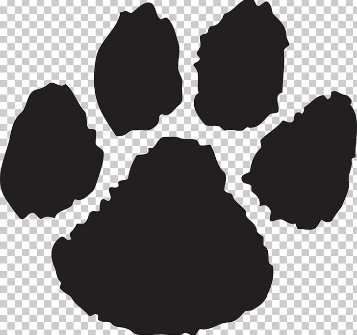 Wildcat Dog Paw PNG, Clipart, Black, Black And White, Black Wildcat Cliparts, Bobcat, Cat Free PNG Download