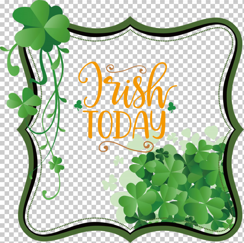 Irish Today Saint Patrick Patricks Day PNG, Clipart, Clover, Drawing, Fourleaf Clover, Holiday, Ireland Free PNG Download