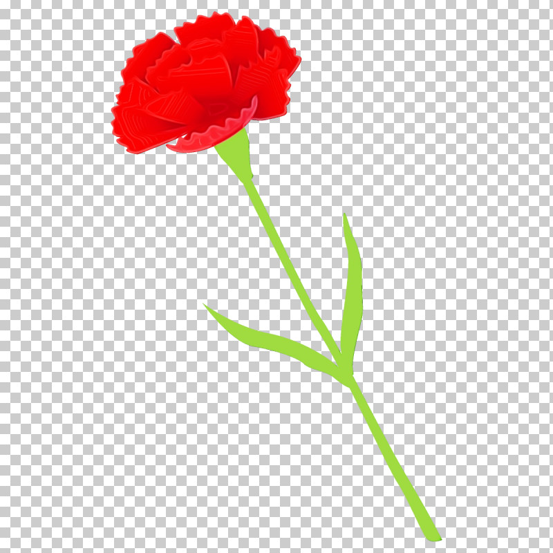 Flower Plant Red Carnation Cut Flowers PNG, Clipart, Carnation, Cut Flowers, Flower, Paint, Pedicel Free PNG Download