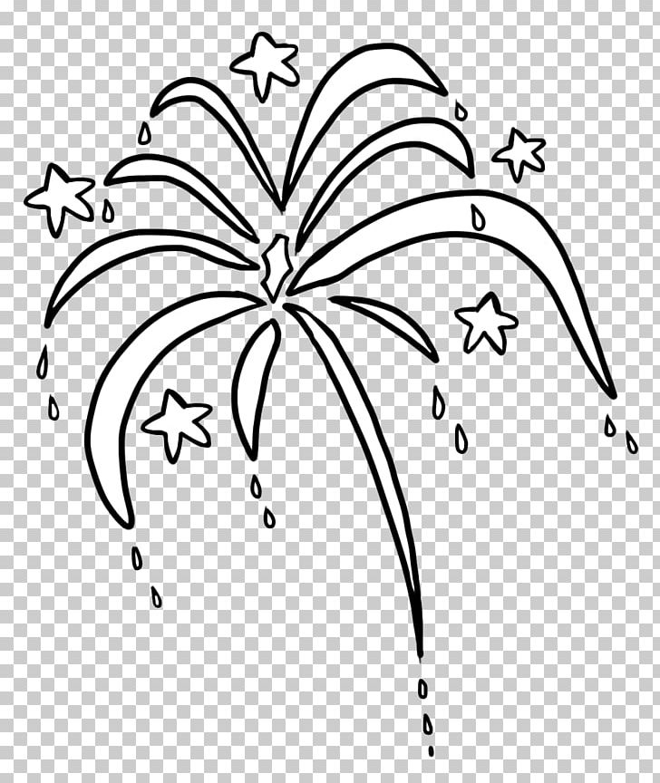 Drawing Fireworks PNG, Clipart, Angle, Animation, Artwork, Black And White, Branch Free PNG Download