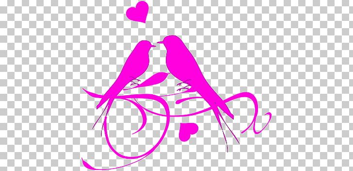 Lovebird PNG, Clipart, Animal Love, Animals, Area, Art, Artwork Free PNG Download