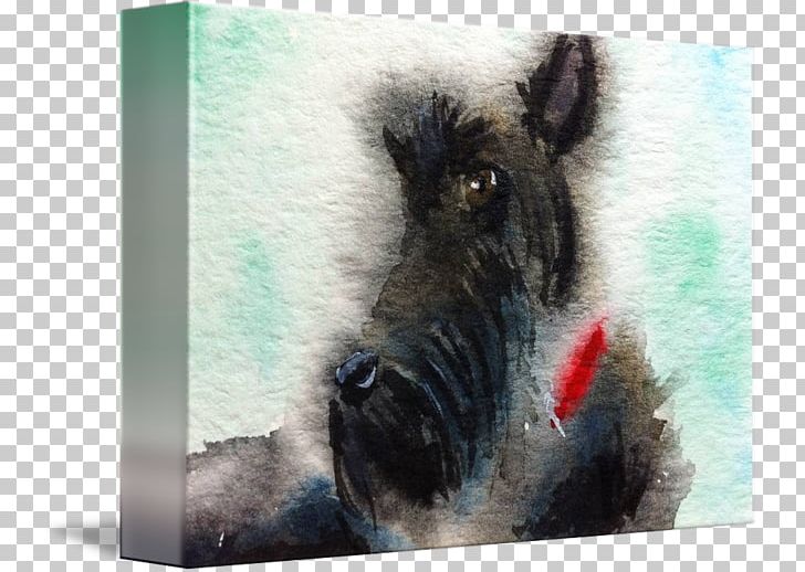 Scottish Terrier Wild Boar Dog Breed PNG, Clipart, Breed, Dog, Dog Breed, Dog Like Mammal, Fauna Free PNG Download