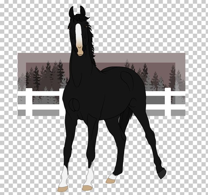 Stallion Foal Mare Mustang Halter PNG, Clipart,  Free PNG Download