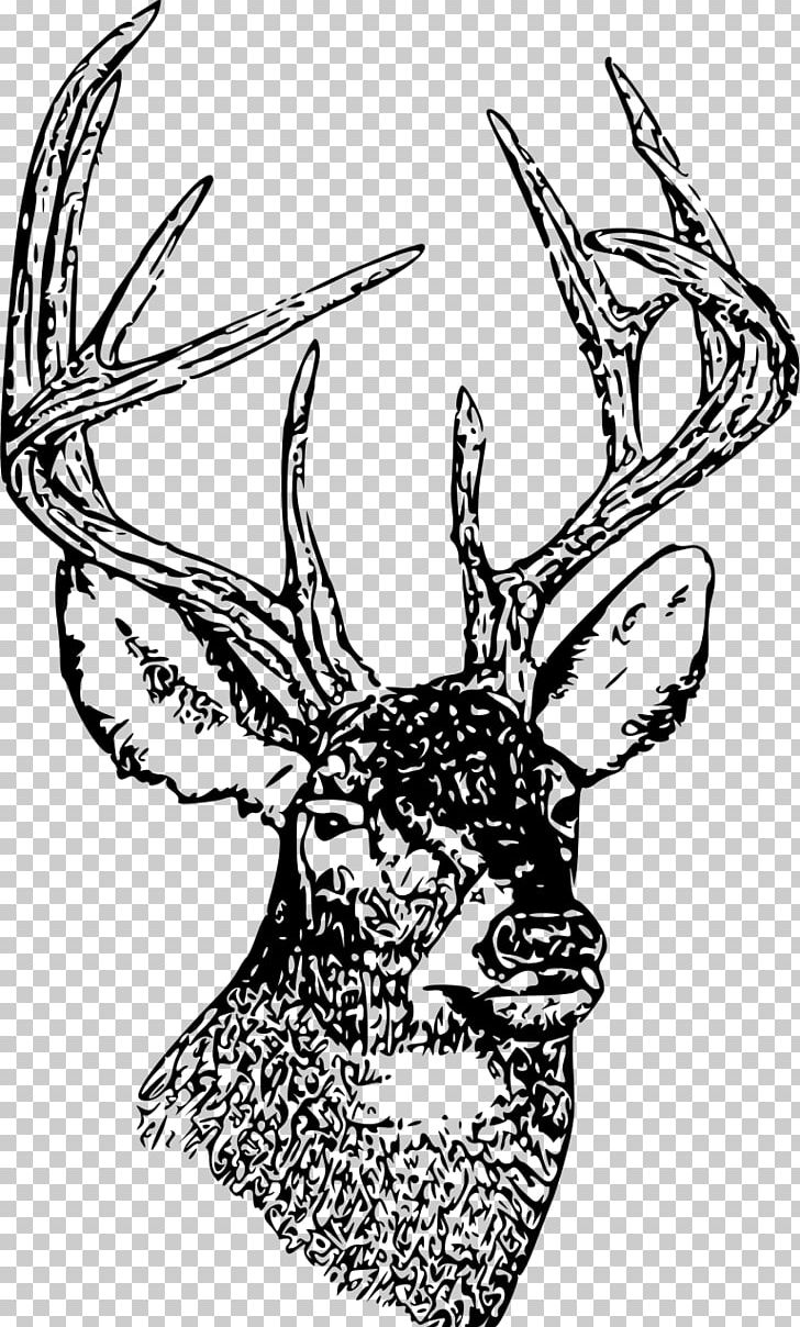 White-tailed Deer Drawing PNG, Clipart, Animals, Antler, Art, Artwork, Black And White Free PNG Download