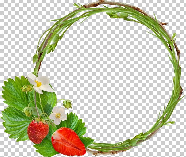 Frames Strawberry Flower Photography PNG, Clipart, Berry, Floral Design, Flower, Food, Fruit Free PNG Download