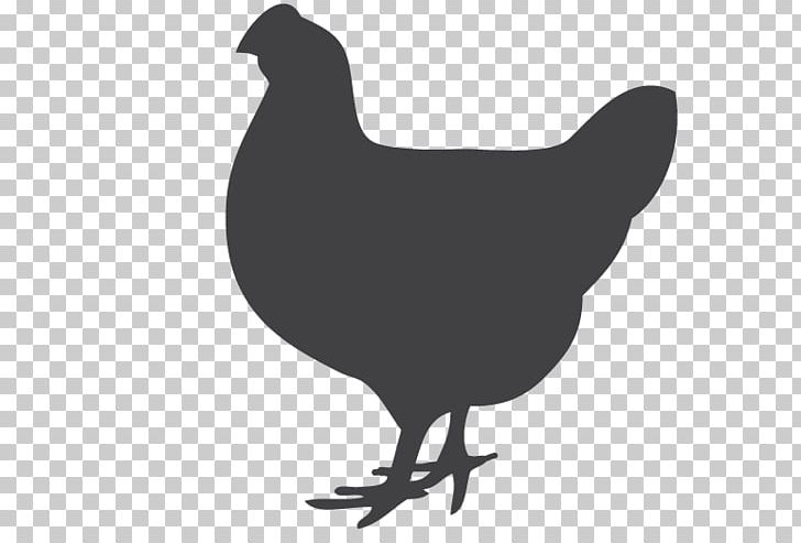 Rooster Chicken Silhouette PNG, Clipart, Animals, Avian Influenza, Beak, Bird, Black And White Free PNG Download