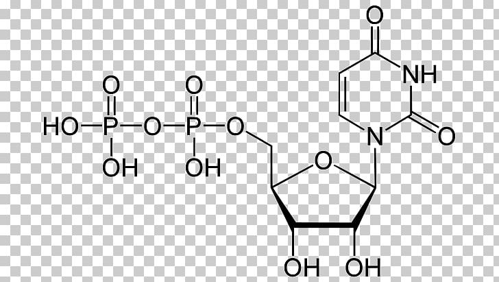Uridine Diphosphate Uridine Monophosphate Uridine Triphosphate Adenosine Triphosphate PNG, Clipart, Adenosine Diphosphate, Adenosine Monophosphate, Angle, Area, Material Free PNG Download