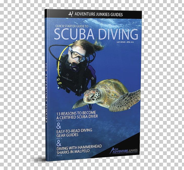 Marine Biology Andaman Sea Scuba Diving Underwater Photography PNG, Clipart, Advertising, Andaman Sea, Camera, Dive Computers, Dvd Free PNG Download