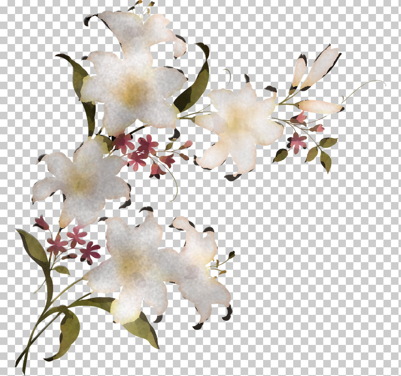 Lily Flower PNG, Clipart, Cut Flowers, Floral Design, Flower, Flower Bouquet, Garden Roses Free PNG Download