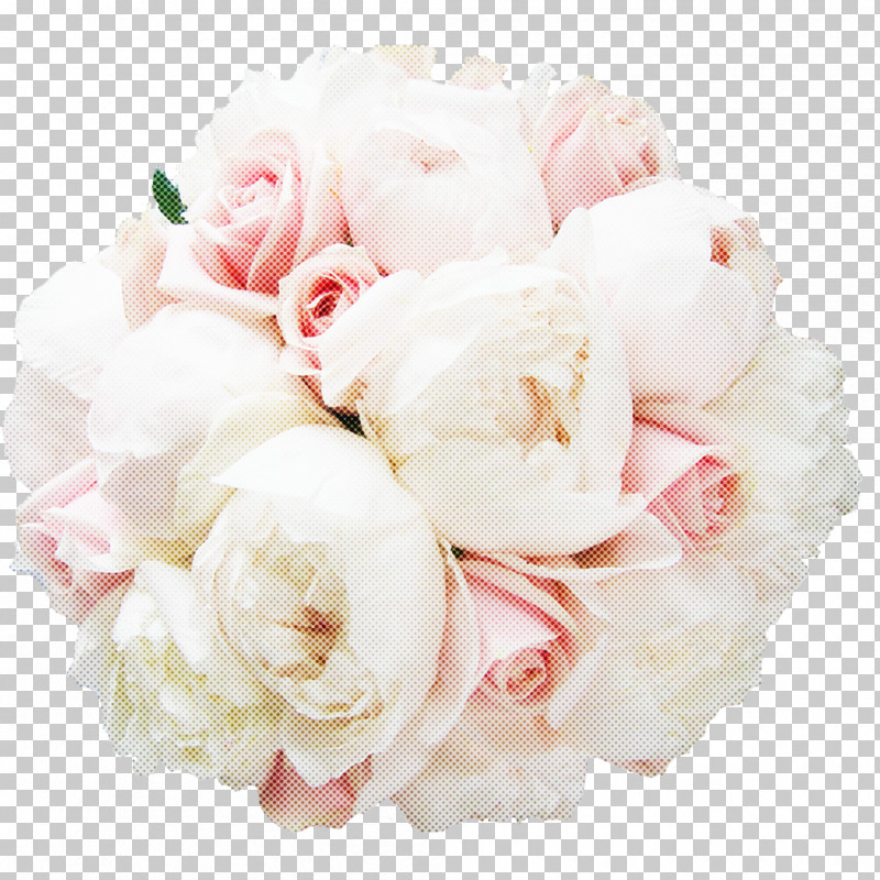 Garden Roses PNG, Clipart, Bouquet, Chinese Peony, Common Peony, Cut Flowers, Floribunda Free PNG Download