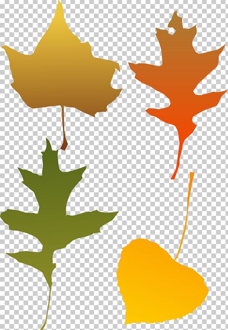 Autumn Leaf Color PNG, Clipart, Autumn, Autumn Leaf Color, Autumn Leaves, Branch, Color Free PNG Download