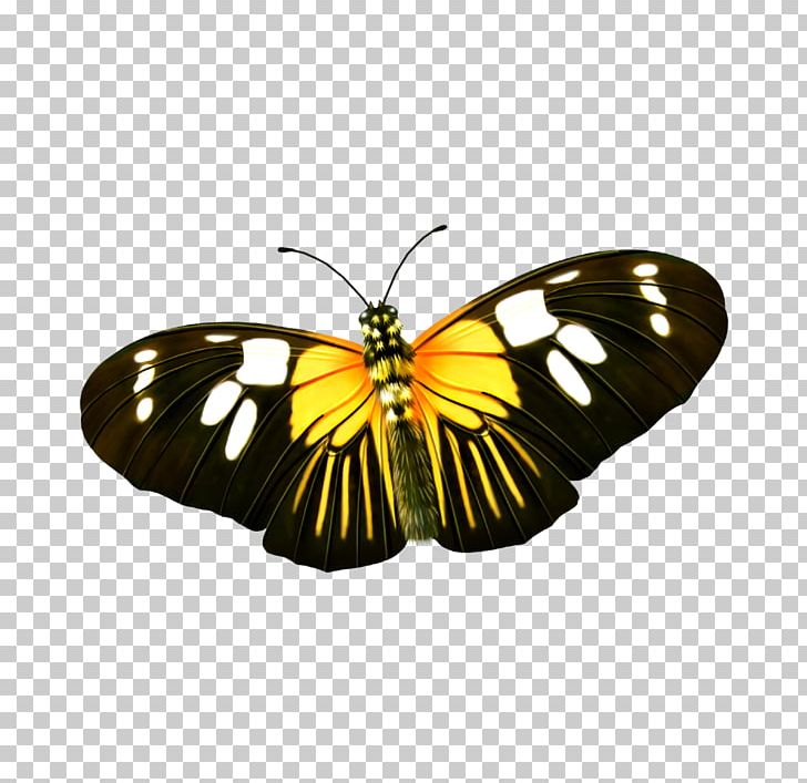 Monarch Butterfly PNG, Clipart, Arthropod, Brush Footed Butterfly, Butterflies, Butterfly, Butterfly Group Free PNG Download