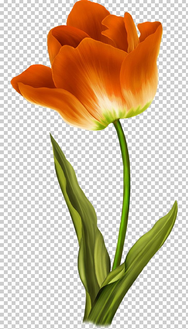 Tulip Flower Computer Icons PNG, Clipart, Clip Art, Computer Icons, Computer Monitors, Cut Flowers, Desktop Wallpaper Free PNG Download