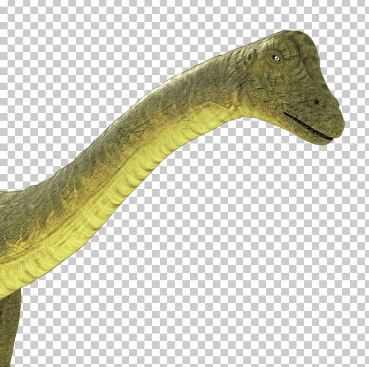 Dinosaur Apatosaurus Brontosaurus Sauropoda Rendering PNG, Clipart, 3 D, 3 D Model, 3d Computer Graphics, 3d Modeling, Animal Free PNG Download