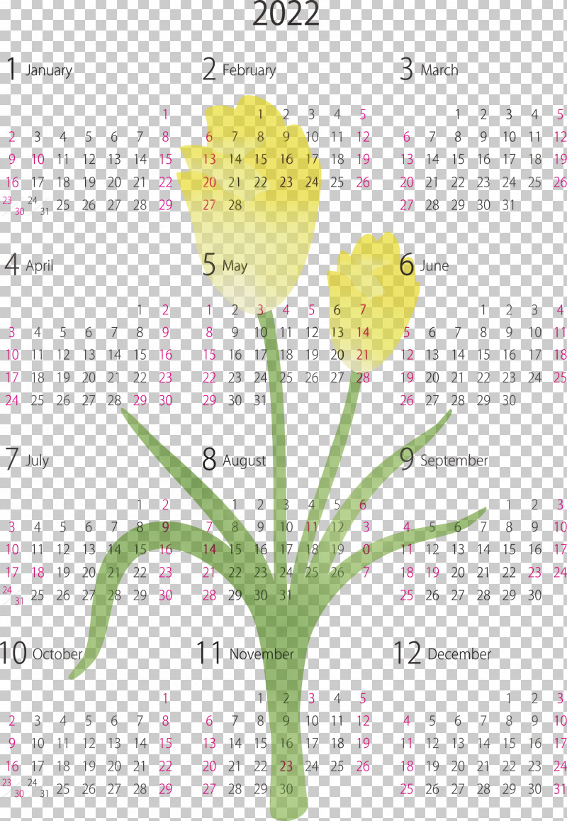 Flower Calendar System Meter Font Plant PNG, Clipart, Biology, Calendar System, Flower, Meter, Paint Free PNG Download
