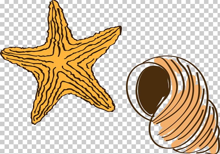 Cartoon Drawing Starfish PNG, Clipart, Animals, Balloon Cartoon, Boy Cartoon, Cartoon, Cartoon Character Free PNG Download