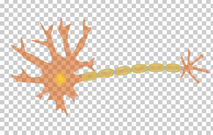 Neuron Nervous System Cell Nerve PNG, Clipart, Axon, Biological Neural Network, Cell, Computer Icons, Computer Wallpaper Free PNG Download