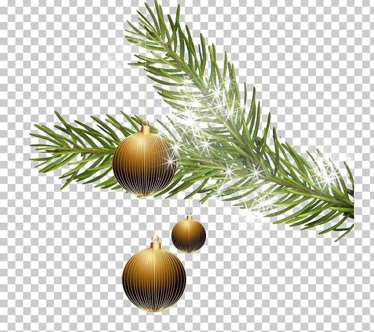 Secondary Vocational Technical School Christmas Ornament Fir Hlavná PNG, Clipart, 22 December, Branch, Christmas, Christmas Decoration, Christmas Ornament Free PNG Download