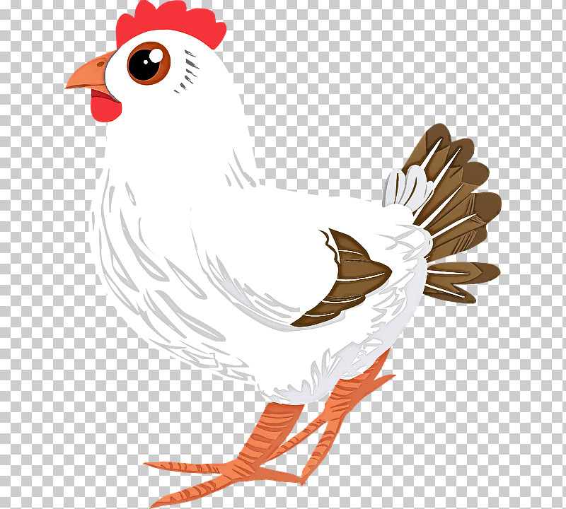 Bird Chicken Rooster Beak Comb PNG, Clipart, Beak, Bird, Chicken, Comb, Rooster Free PNG Download