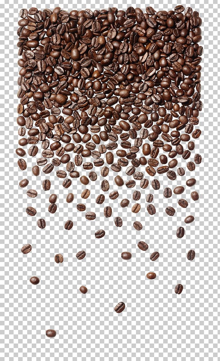 Coffee Bean Cafe Seattle's Best Coffee Coffee Bag PNG, Clipart, Bean, Brown, Cafe, Caffeine, Coffee Free PNG Download