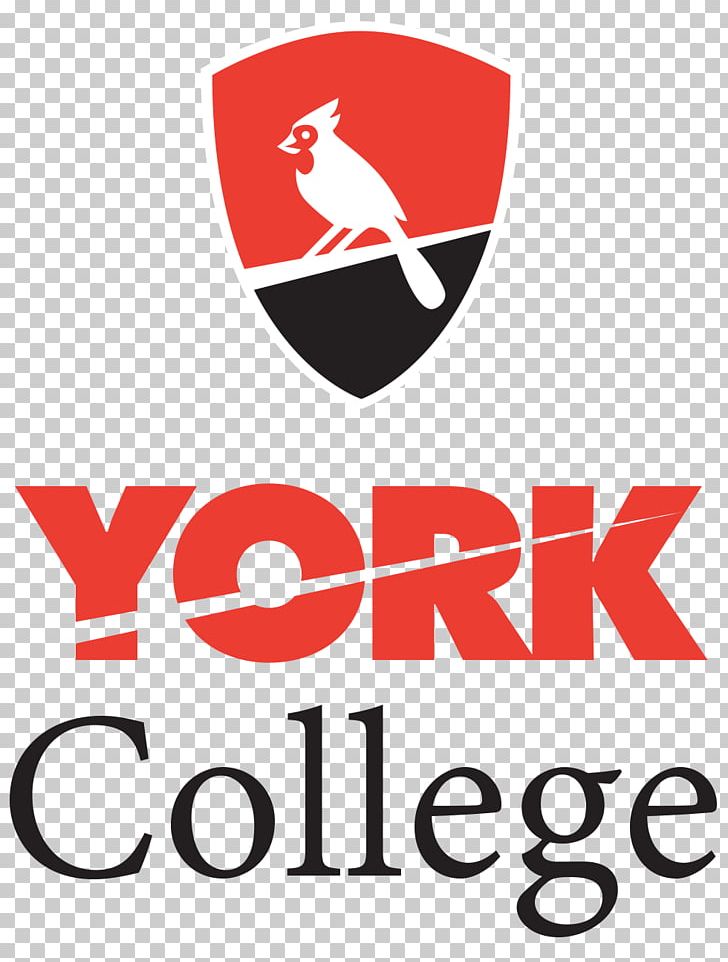 York College PNG, Clipart, Area, Brand, Brooklyn College, City College Of New York, City University Of New York Free PNG Download