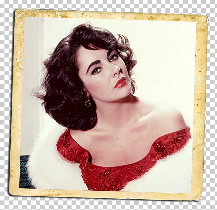 Elizabeth Taylor Actor Classical Hollywood Cinema The Last Time I Saw Paris PNG, Clipart,  Free PNG Download