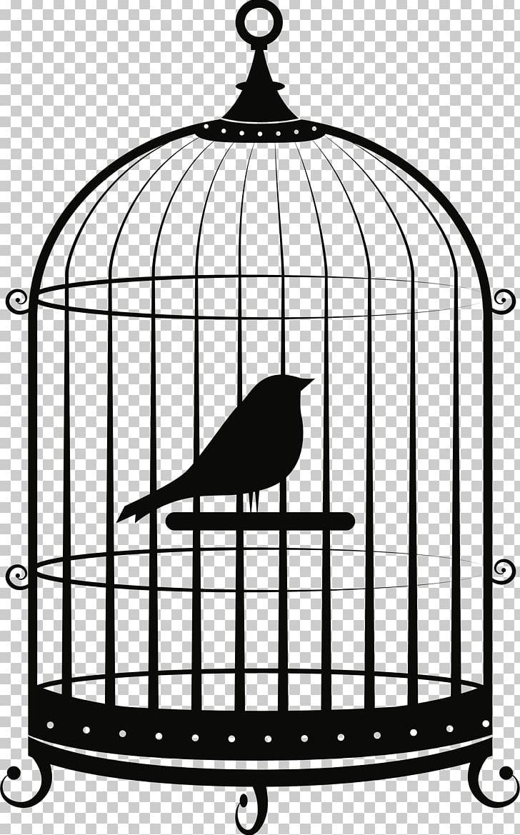 Birdcage Parrot PNG, Clipart, Animals, Beak, Bird, Birdcage, Bird Nest Free PNG Download