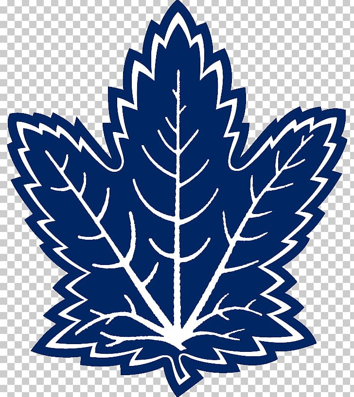 Toronto Maple Leafs MasterCard Centre National Hockey League New York Islanders Pittsburgh Penguins PNG, Clipart, Arizona Coyotes, Artwork, Black And White, Eastern Conference, Flower Free PNG Download