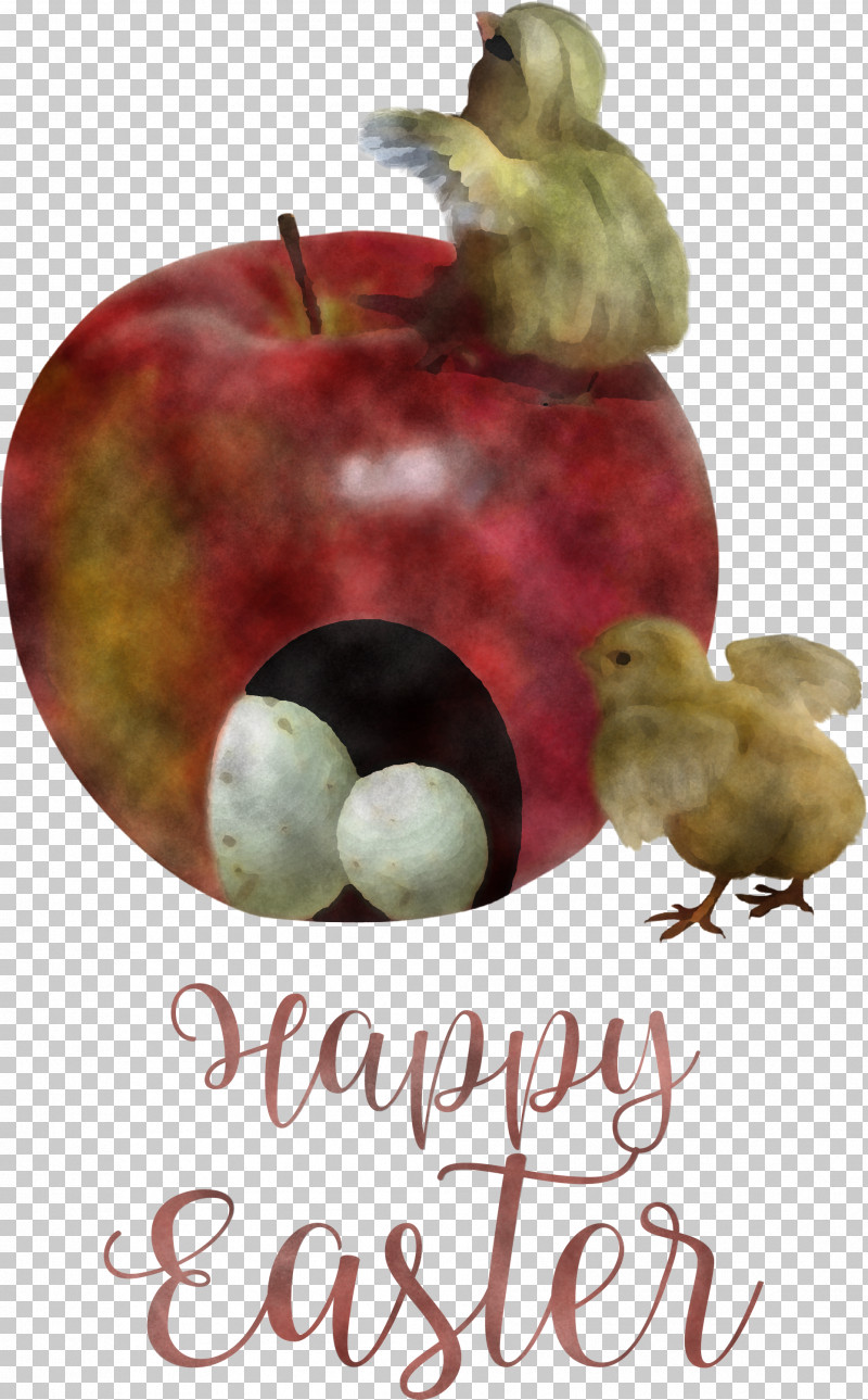 Happy Easter Chicken And Ducklings PNG, Clipart, Apple, Biology, Birds, Chicken And Ducklings, Fruit Free PNG Download
