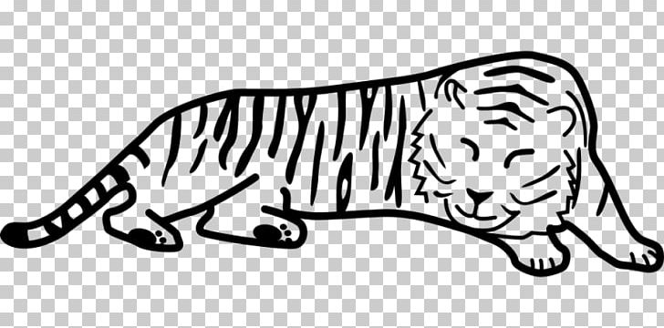 Black Tiger Cat Drawing PNG, Clipart, Animals, Area, Big Cats, Black, Black And White Free PNG Download