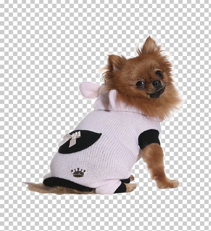 Dog Breed Pomeranian Puppy Companion Dog Dog Clothes PNG, Clipart, Breed, Bunny Princess, Carnivoran, Clothes, Clothing Free PNG Download