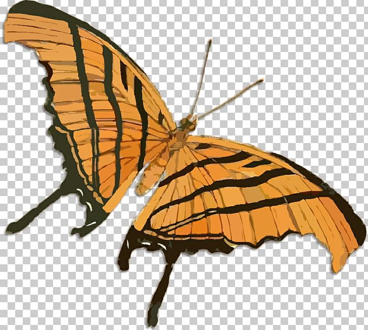 Drawing Butterfly PNG, Clipart, Arthropod, Botanical Illustration, Brush Footed Butterfly, Butterflies And Moths, Butterfly Vintage Free PNG Download