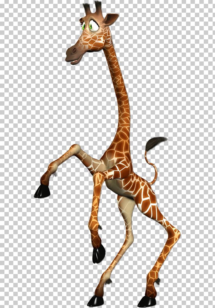Northern Giraffe Neck Reticulated Giraffe PNG, Clipart, Animaatio, Animal Figure, Author, Fauna, Giraffe Free PNG Download