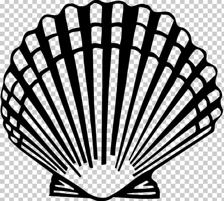 Seashell Clam Scallop PNG, Clipart, Animals, Art, Bay Scallop, Black And White, Clam Free PNG Download
