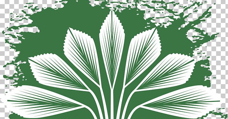 Arecaceae Putrajaya Botanical Garden Botany PNG, Clipart, Arecaceae, Arecales, Black And White, Botanical Garden, Botany Free PNG Download
