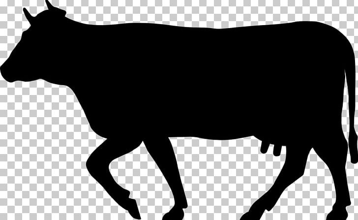 Beef Cattle Jersey Cattle Dairy Cattle Silhouette Dairy Farming PNG, Clipart, Animals, Beef, Beef Cattle, Beef Cuts, Black And White Free PNG Download