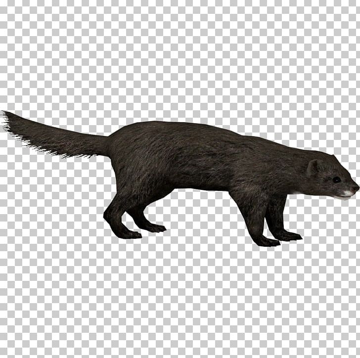 European Pine Marten Zoo Tycoon 2 Mink Viverridae PNG, Clipart, 3d Animation, American Mink, Animal Mink, Animation, Anime Character Free PNG Download