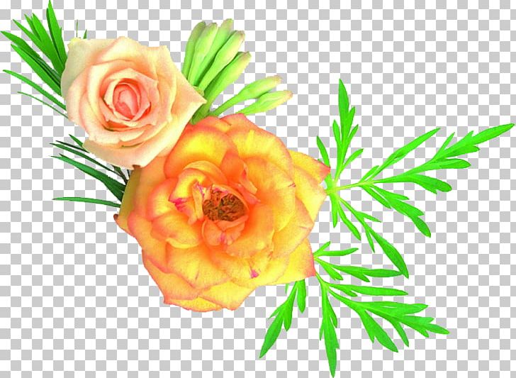 Garden Roses Martyr Iran–Iraq War Flower Disabled Iranian Veterans PNG, Clipart, Altruism, Culture, Cut Flowers, Floral Design, Floristry Free PNG Download