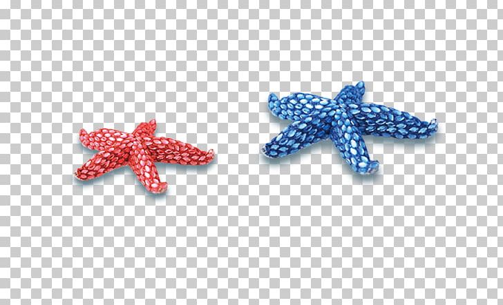 Starfish Blue Icon PNG, Clipart, Animals, Beach, Beautiful Starfish, Blue, Blue Starfish Free PNG Download