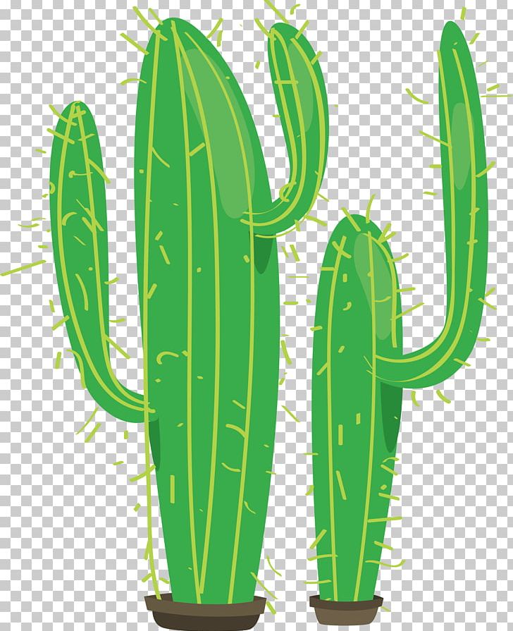 Cactaceae Green Erg Plant PNG, Clipart, Background Green, Cactus, Cactus Vector, Desert Plants, Download Free PNG Download