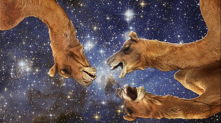 Hubble Space Telescope Galaxy NGC 6302 Universe PNG, Clipart, Animals, Astronomer, Astronomy, Black Hole, Camel Free PNG Download