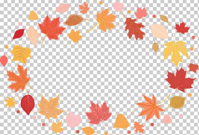 Maple Leaf PNG, Clipart, Area, Autumn Frame, Autumn Leaves Frame, Biology, Floral Design Free PNG Download